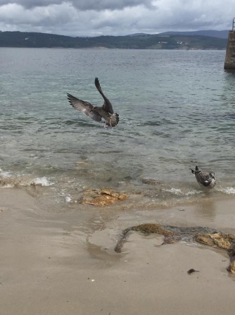 C:\Users\xa\Desktop\ivetas stastu bildes\viss1.jpg