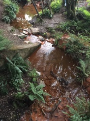 C:\Users\xa\Desktop\ivetas stastu bildes\viss3.jpg